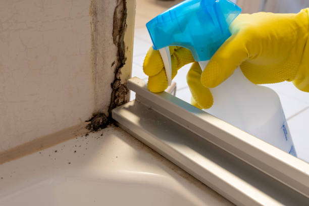 Best Mold Testing  in Hobart, WA