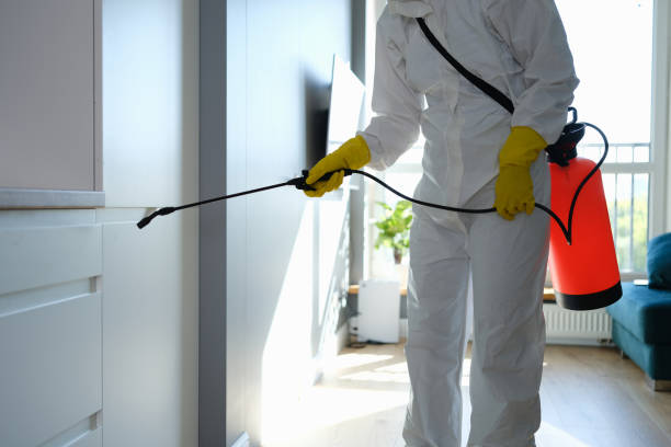 Best Mold Remediation  in Hobart, WA